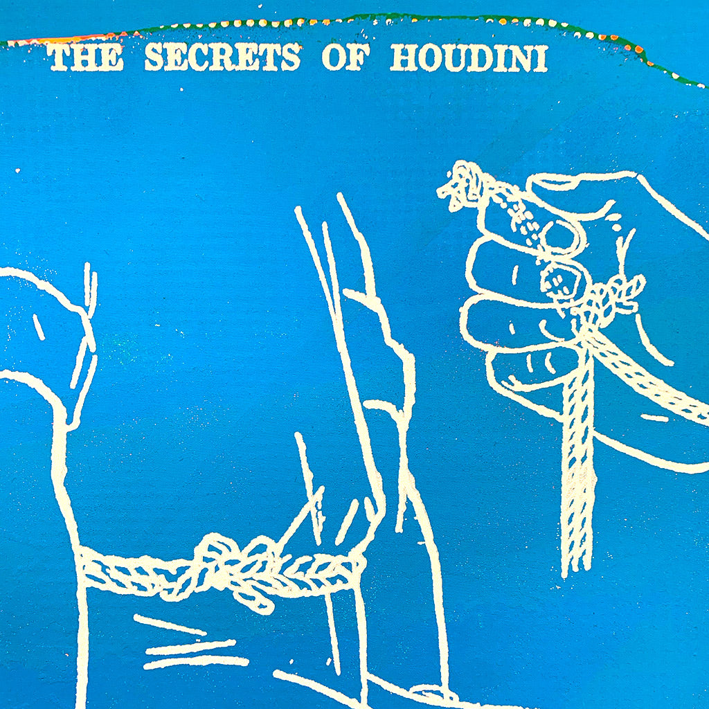 Houdini print